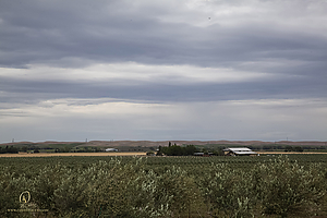 003_HHR_PH21_IMG_0215.jpg