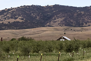 058_HHR_PH21_IMG_7747.jpg