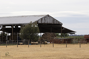 060_HHR_PH21_IMG_7760.jpg