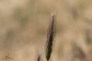 127_HHR_PH21_IMG_8383.jpg