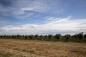 130_HHR_PH21_IMG_0528.jpg