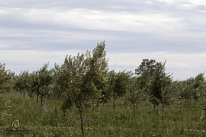 133_HHR_PH21_IMG_8425.jpg