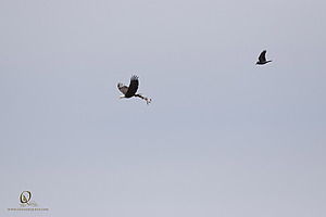 135_HHR_PH21_IMG_8470.jpg