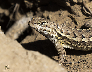 153_HHR_PH21_IMG_8748.jpg