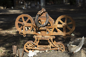CF_PH21_IMG_8990.jpg