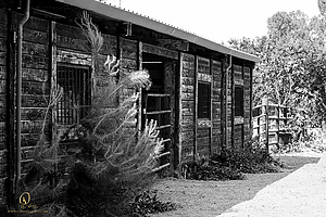 PTR_PH21_IMG_1955.jpg