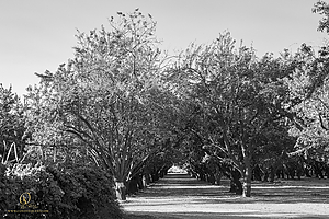 CCR_PH21_IMG_3161.jpg