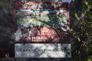 CCR_PH21_IMG_3674.jpg