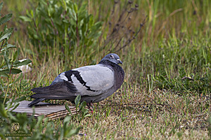 YBW_PH21_IMG_9358.jpg