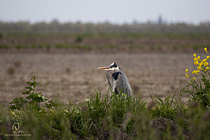 YBW_PH21_IMG_9431.jpg