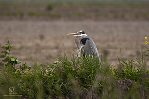 YBW_PH21_IMG_9444.jpg