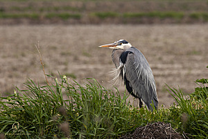 YBW_PH21_IMG_9456.jpg