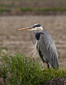YBW_PH21_IMG_9459.jpg