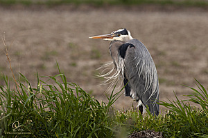 YBW_PH21_IMG_9469.jpg