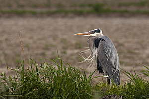 YBW_PH21_IMG_9471.jpg
