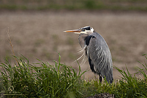 YBW_PH21_IMG_9478.jpg