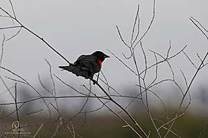 YBW_PH21_IMG_9565.jpg