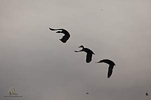 YBW_PH21_IMG_9670.jpg