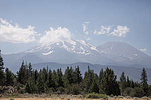 OR-Shasta_PH24_IMG_6384-Enhanced-NR.jpg