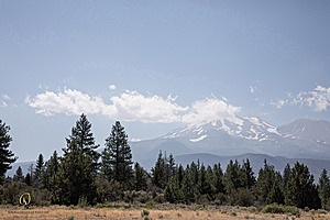 OR-Shasta_PH24_IMG_6393-Enhanced-NR.jpg