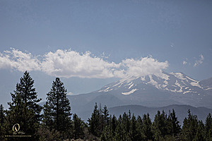 OR-Shasta_PH24_IMG_6403-Enhanced-NR.jpg