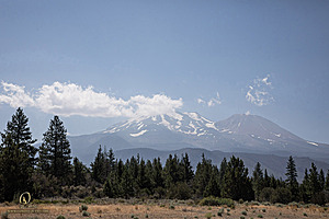 OR-Shasta_PH24_IMG_6406-Enhanced-NR.jpg