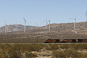 Mojave_PH24_IMG_6673-Enhanced-NR.jpg