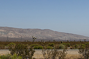 Mojave_PH24_IMG_6722-Enhanced-NR.jpg