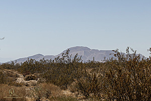 Mojave_PH24_IMG_6750-Enhanced-NR.jpg