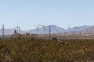 Mojave_PH24_IMG_6823-Enhanced-NR.jpg