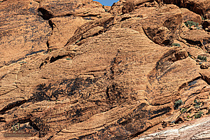 RedRock_PH24IMG_6902-Enhanced-NR.jpg