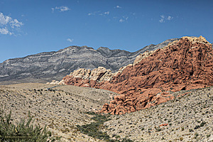 RedRock_PH24IMG_7463-Enhanced-NR.jpg