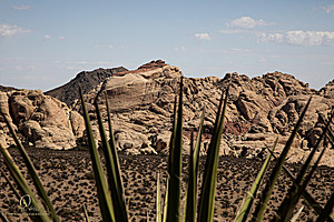 RedRock_PH24IMG_7540-Enhanced-NR.jpg