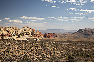 RedRock_PH24IMG_7544-Enhanced-NR.jpg