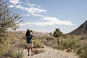 RedRock_PH24IMG_7593-Enhanced-NR.jpg