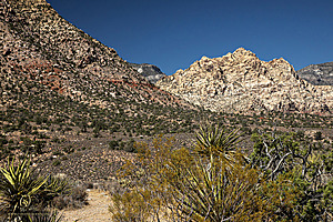 RedRock_PH24IMG_7636-Enhanced-NR.jpg