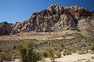 RedRock_PH24IMG_7643-Enhanced-NR.jpg