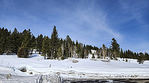 Sierra_PH23_20230318_121721.jpg