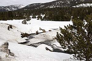 Sierra_PH23_IMG_1450.jpg