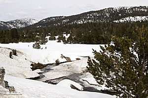 Sierra_PH23_IMG_1452.jpg