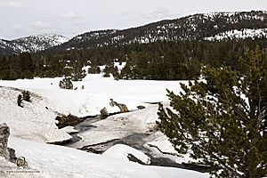 Sierra_PH23_IMG_1456.jpg