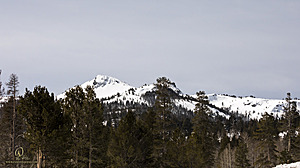 Sierra_PH23_IMG_4538.jpg