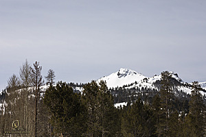 Sierra_PH23_IMG_4543.jpg