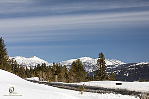 Sierra_PH23_IMG_4548.jpg