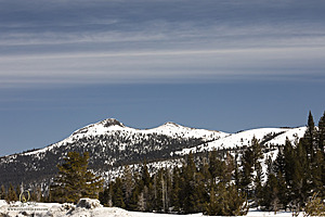 Sierra_PH23_IMG_4550.jpg