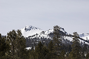 Sierra_PH23_IMG_4581.jpg