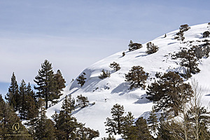 Sierra_PH23_IMG_4606.jpg