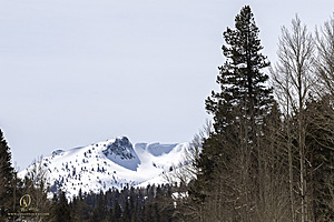 Sierra_PH23_IMG_4608.jpg