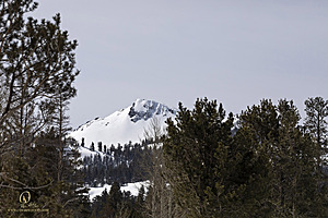 Sierra_PH23_IMG_4635.jpg