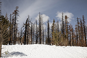 Sierra_PH23_IMG_4805.jpg